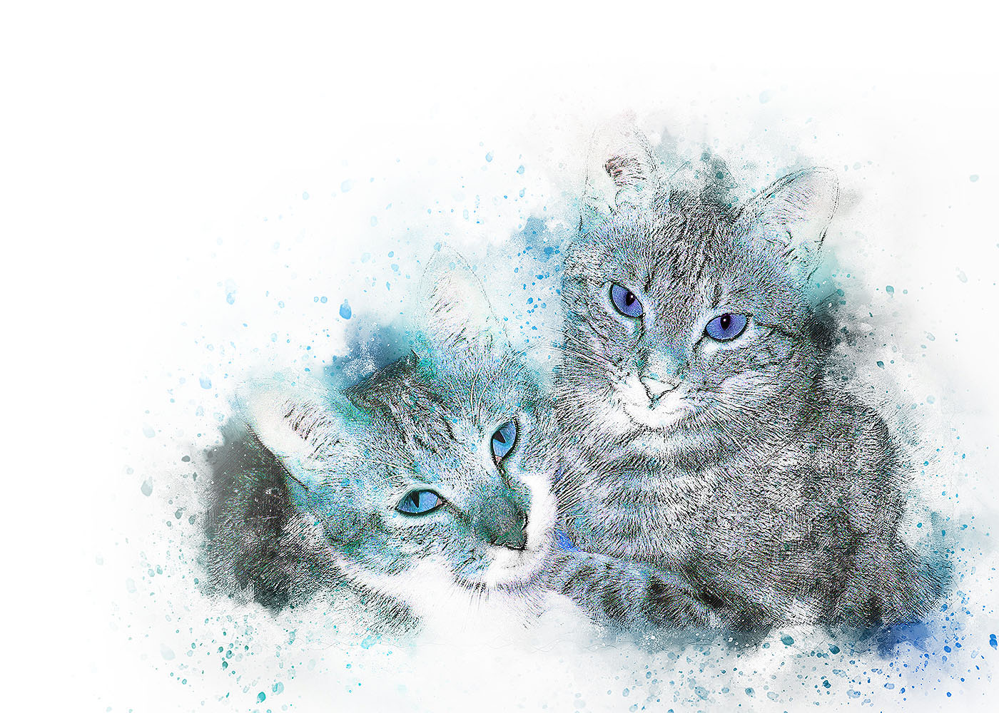 Tierarztpraxis Mag. med. vet. Gitzinger