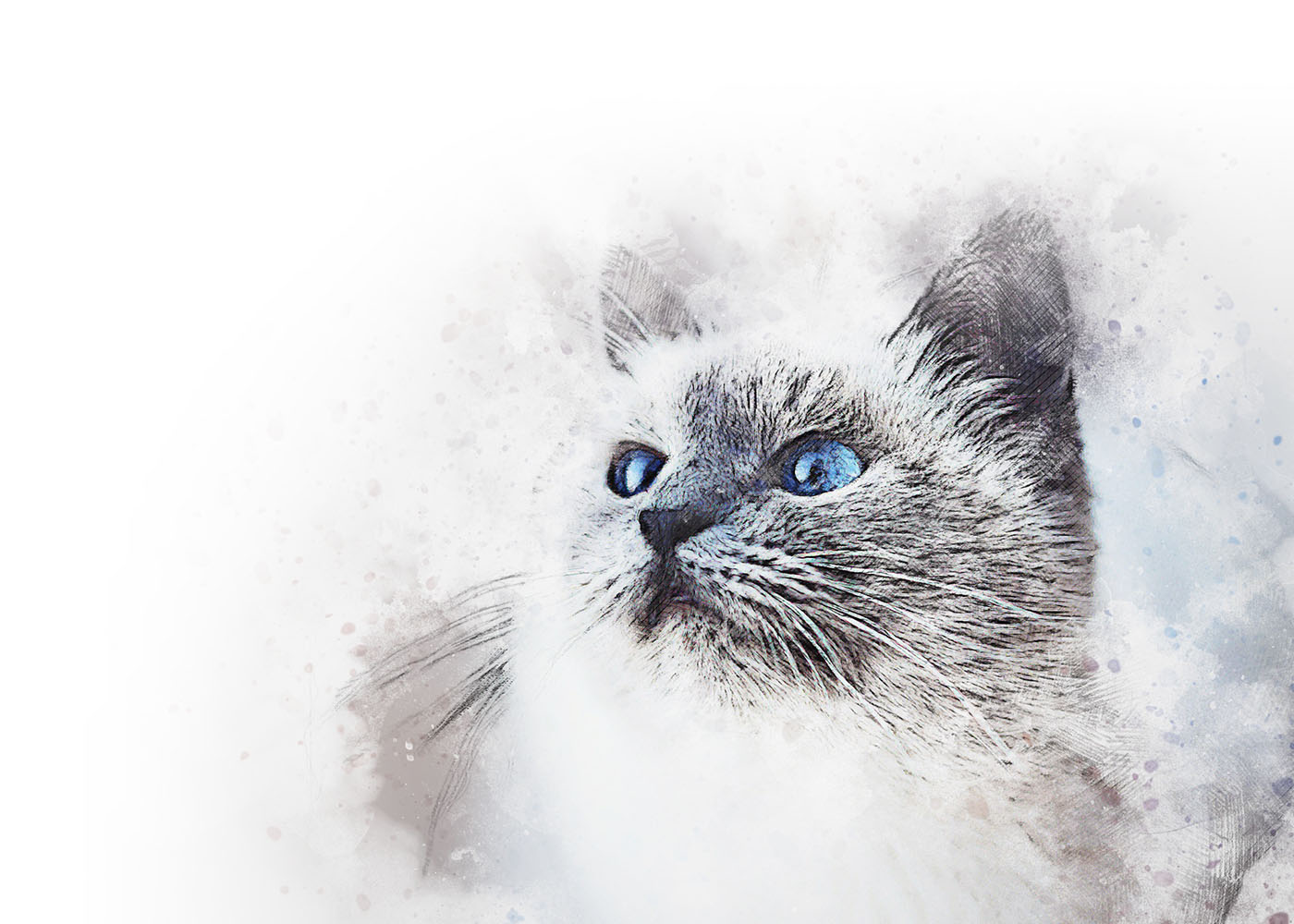 Tierarztpraxis Mag. med. vet. Gitzinger